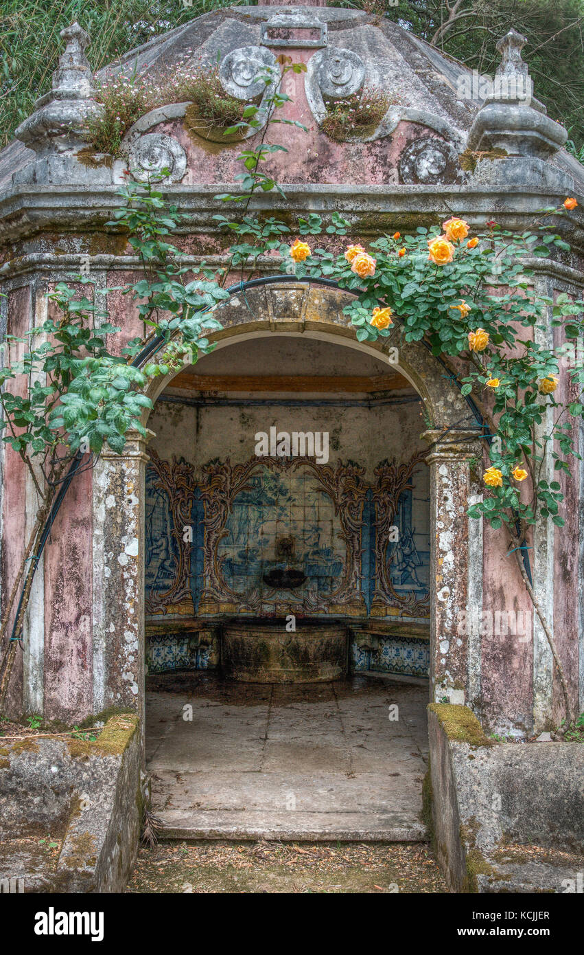 Rosas en Casal Sta Maria, Casas Novas, Sintra, Portugal Foto de stock