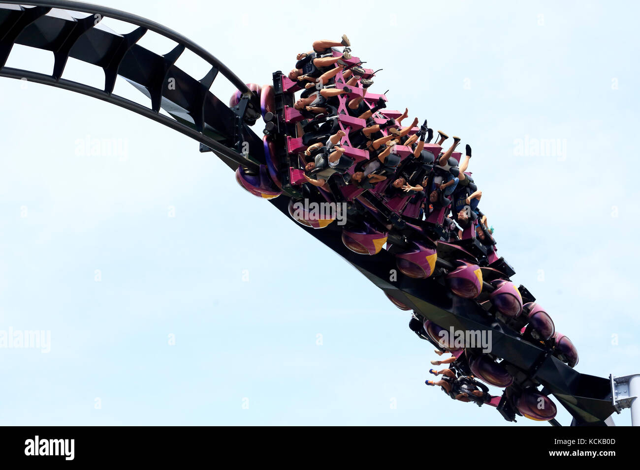 Great Bear roller coaster en Hersheypark,Hershey, Pensilvania, EE.UU. Foto de stock