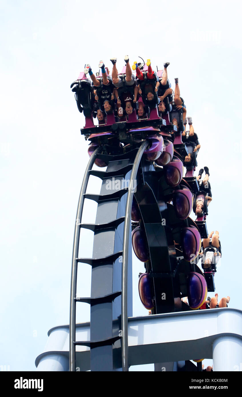 Great Bear roller coaster en Hersheypark,Hershey, Pensilvania, EE.UU. Foto de stock