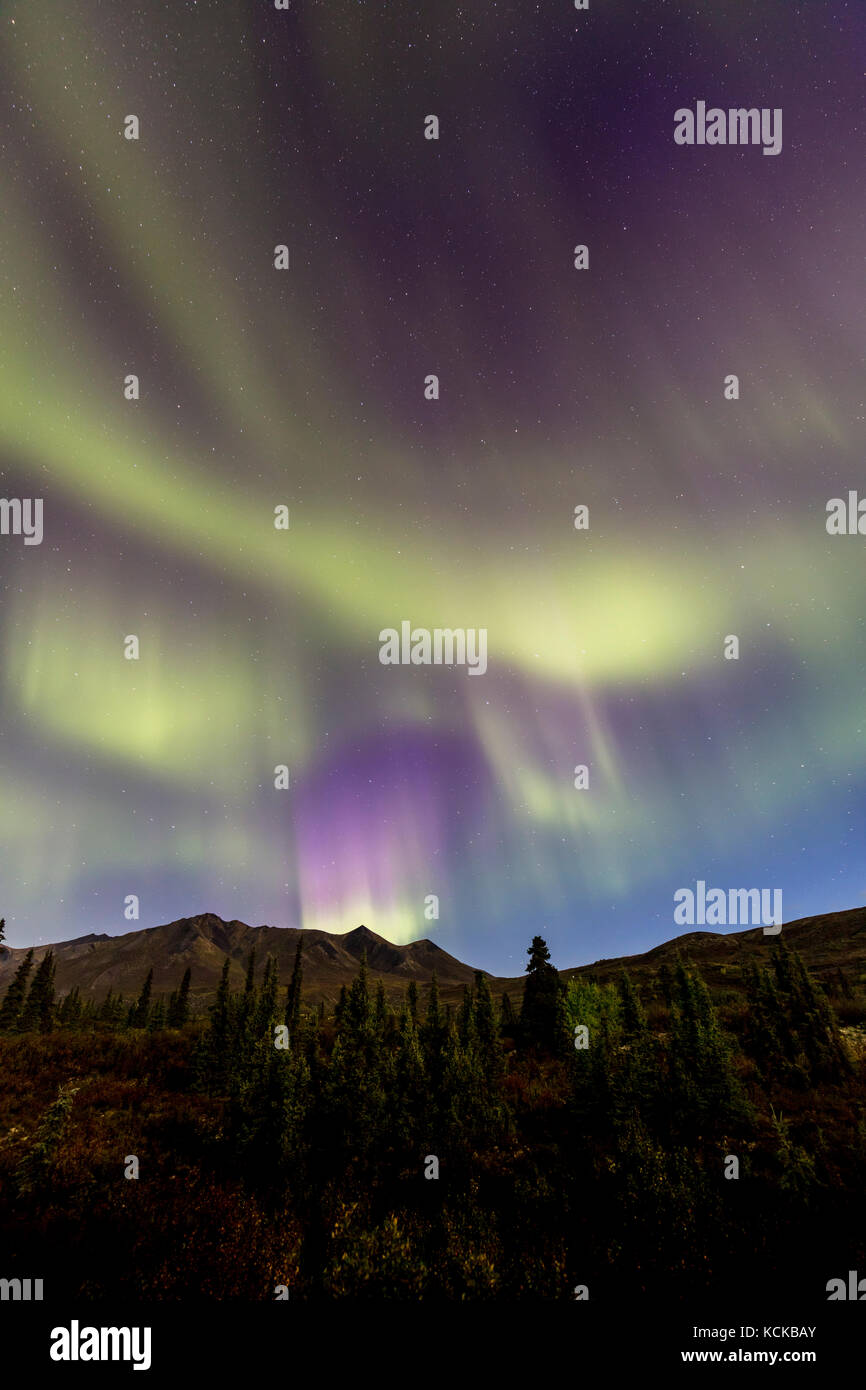 Las luces del norte o aurora borealis sobre tombstone parque