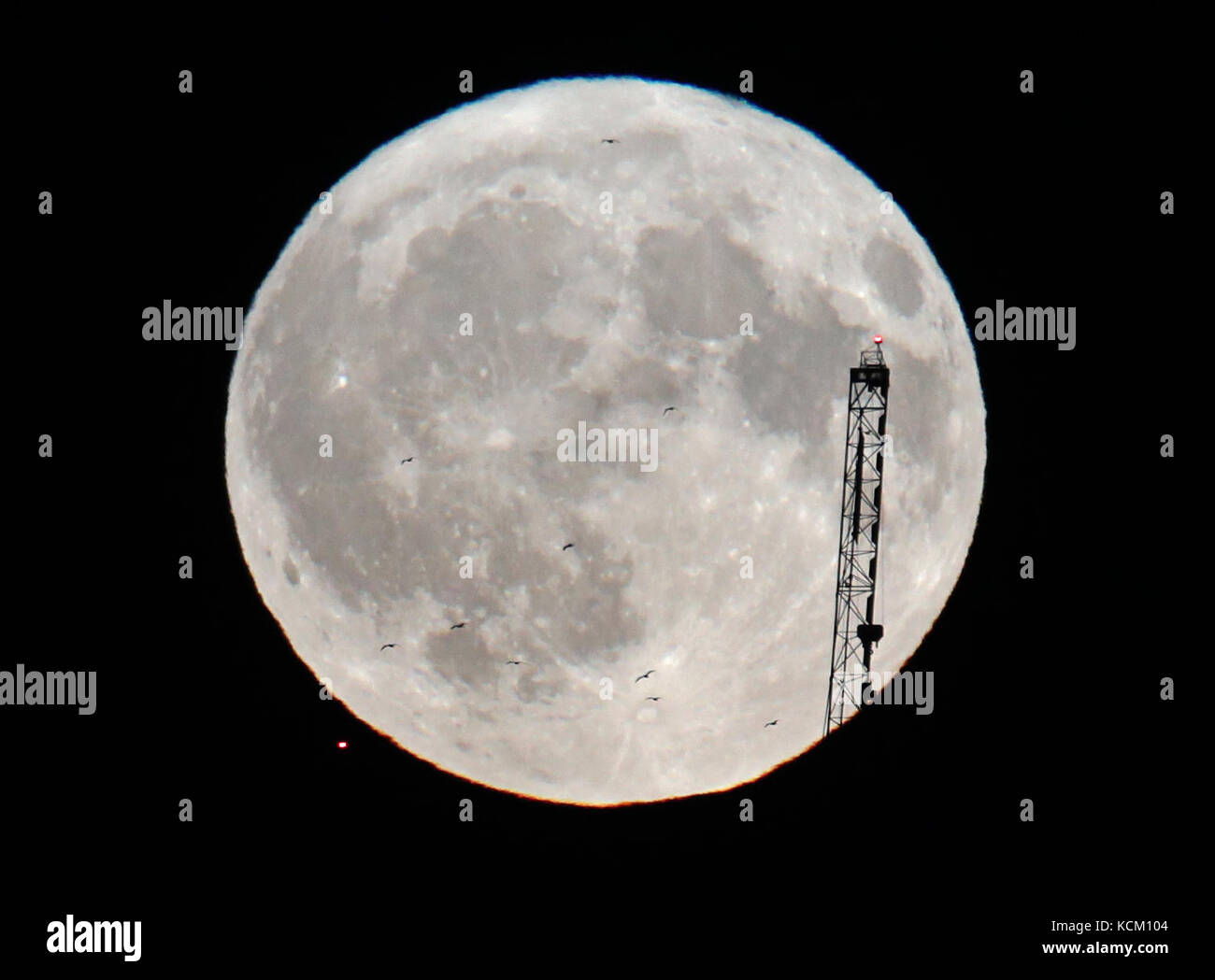 Parte de una grúa y gaviotas son siluetas por una luna casi llena