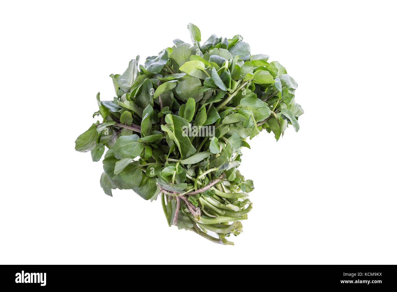 Hoja de berro fotografías e imágenes de alta resolución - Alamy