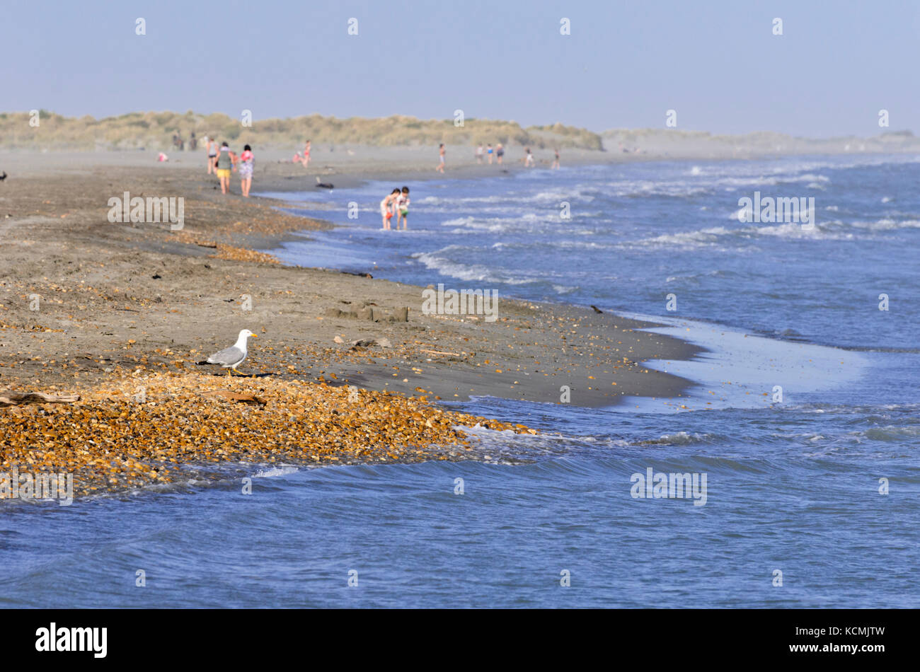 Costa mediterránea, Camargue, Francia Foto de stock