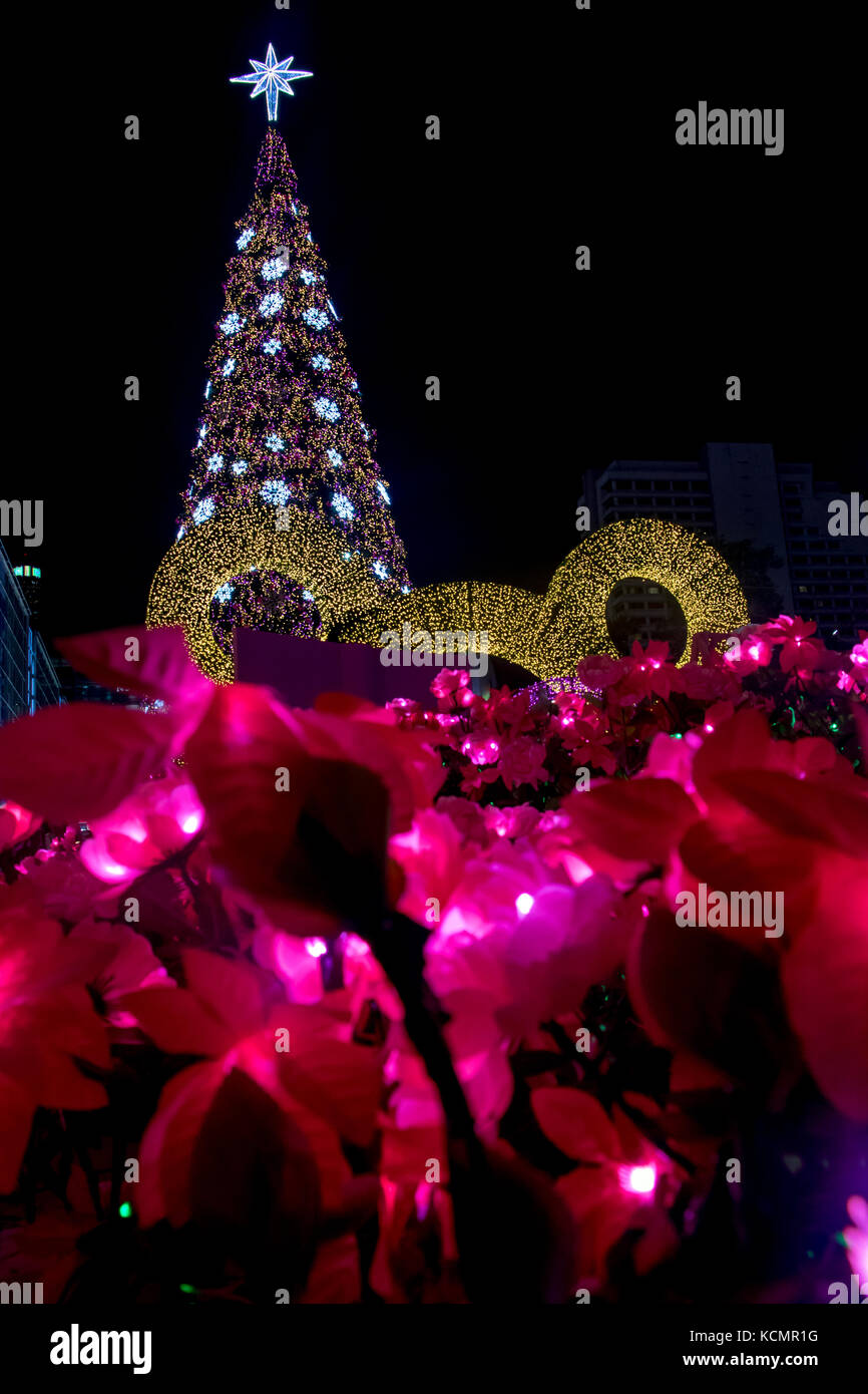 Flor violeta iluminada bajo el árbol de navidad al aire libre por la noche.  La iluminación decoración de árbol de navidad en la plaza Fotografía de  stock - Alamy
