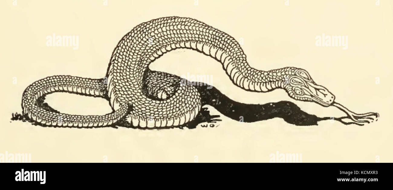 Serpiente dibujo fotografías e imágenes de alta resolución - Alamy