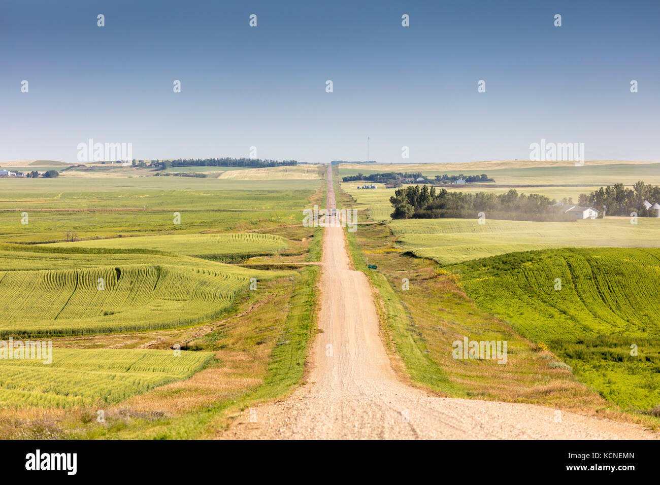 Rolling Hills en el municipio rural de Stonehenge nº 73 en el sur de Saskatchewan, Canadá Foto de stock