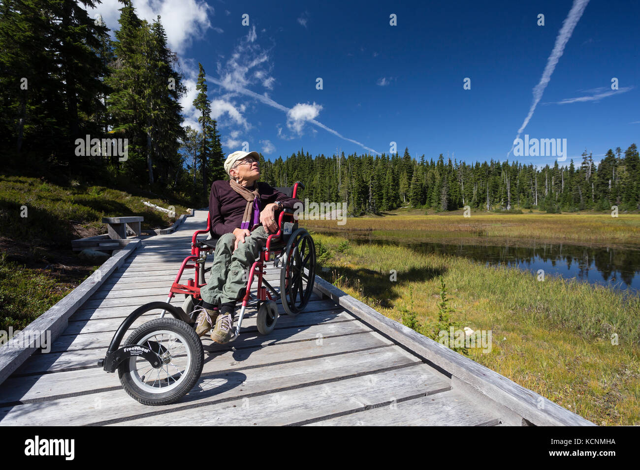 Pasarelas en el paraíso prados proporcionan accesibilidad para personas discapacitadas que desean también para disfrutar del aire libre, Mt Washington, el Comox Valley, Vancouver Island, British Columbia, Canadá Foto de stock