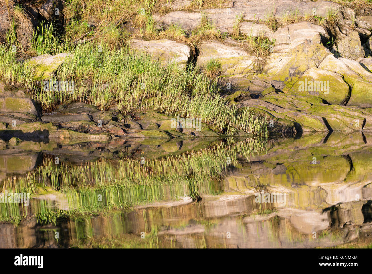 Reflexiones kwinimass shoreline, estuario, British Columbia, Canadá Foto de stock