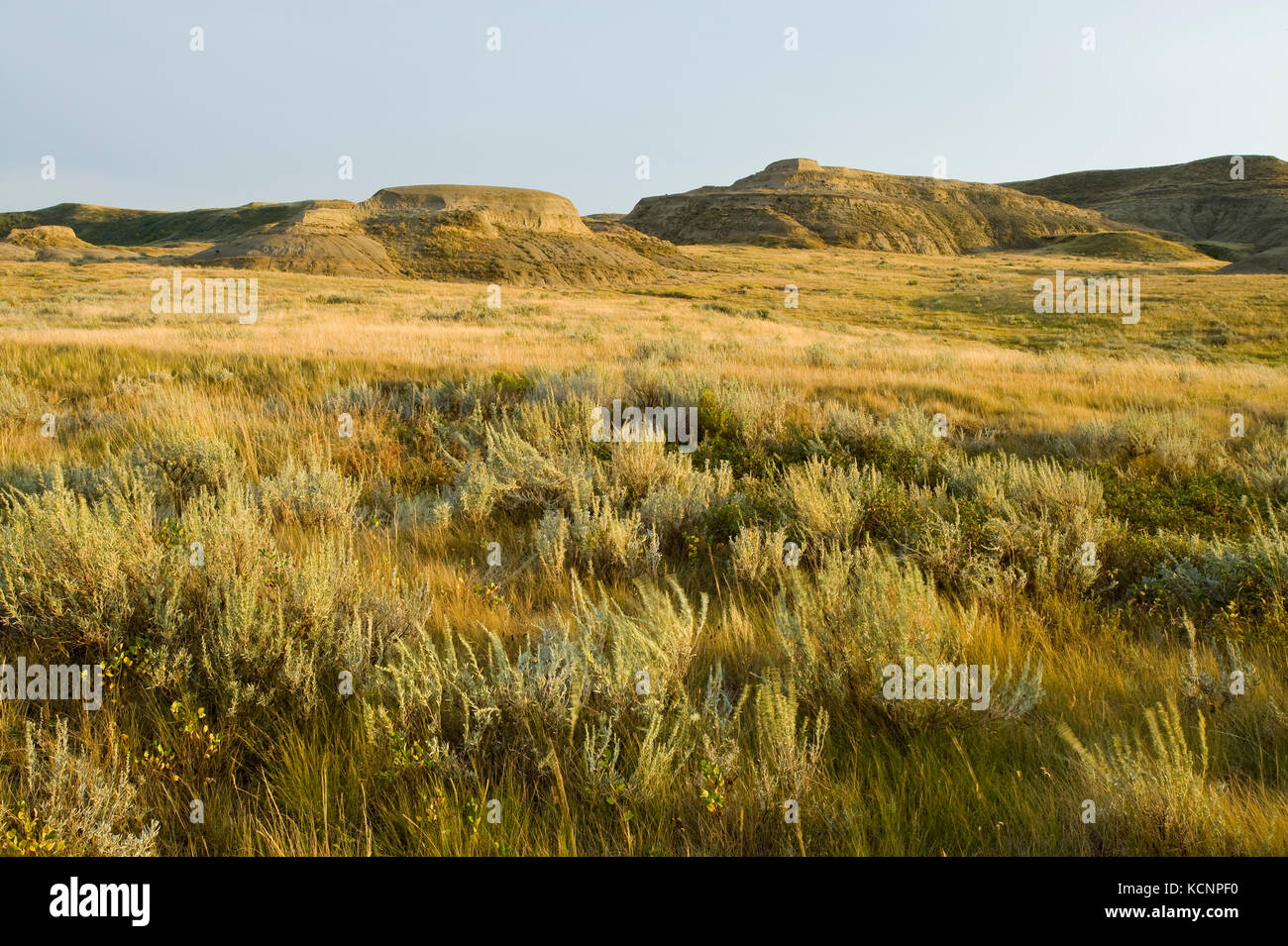 Killdeer Badlands, el Bloque Oriental, el Parque Nacional de pastizales, Saskatchewan, Canadá Foto de stock