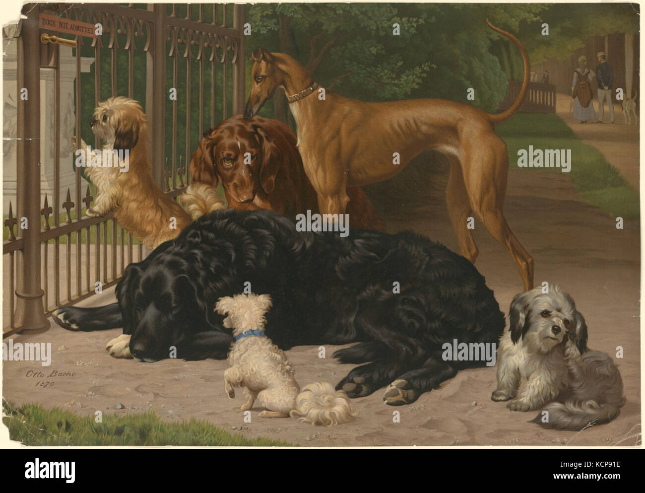 Perros no admitidos por la Biblioteca Pública de Boston Foto de stock