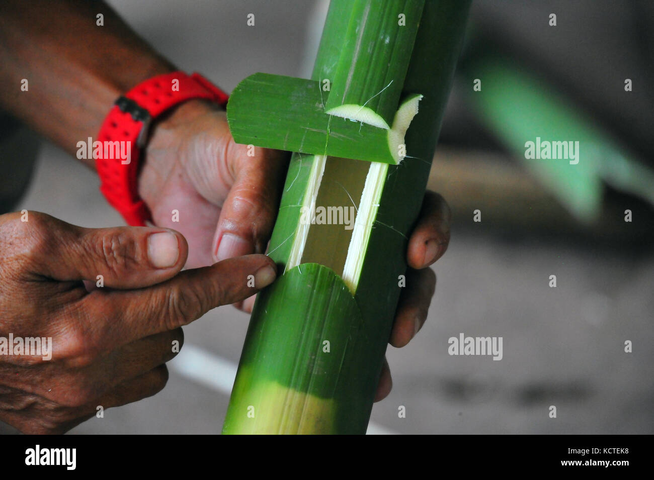 JEST Survival Camp, Subic, Filipinas: Aprendiendo a cocinar arroz en bambú verde. Foto de stock