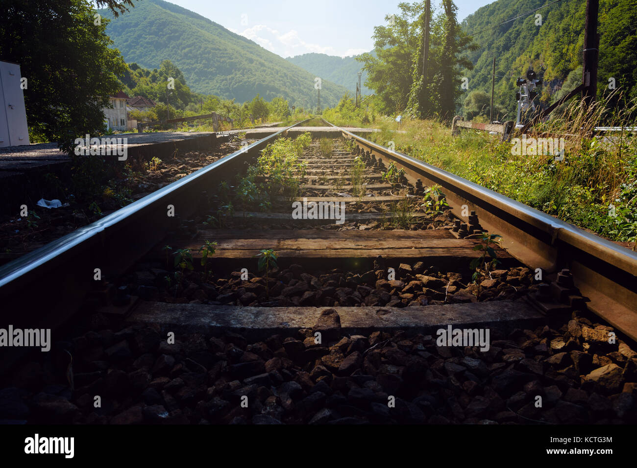 Vista de ángulo bajo las vías del ferrocarril, con disminución de la perspectiva que conduce a exuberantes montañas verdes Foto de stock