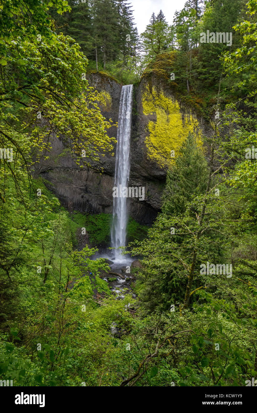 Latourell Falls es una cascada a lo largo del desfiladero del río Columbia en Oregon, dentro del Parque Estatal Guy W. Talbot. La histórica autopista del río Columbia pasa cerca, y en ciertos lugares las cataratas inferiores son visibles desde la carretera. Foto de stock