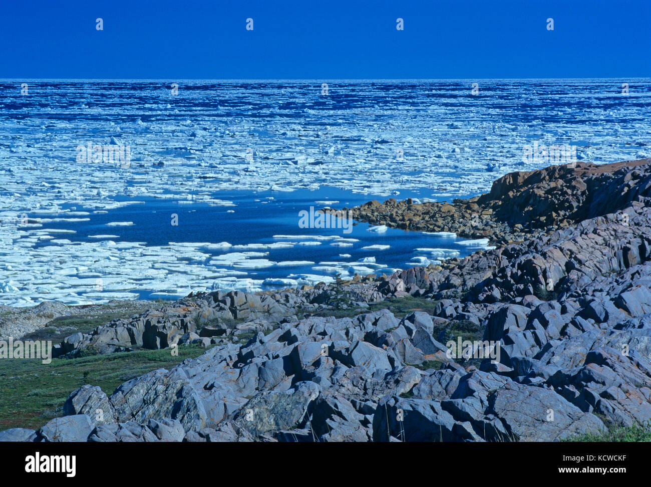 Hielo en la costa rocosa de la bahía de Hudson, Churchill, Manitoba, Canadá Foto de stock