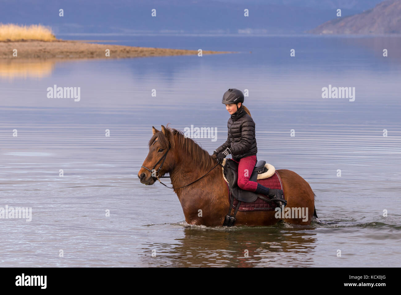 Chica adolescente en caballo de mar en una playa Foto de stock