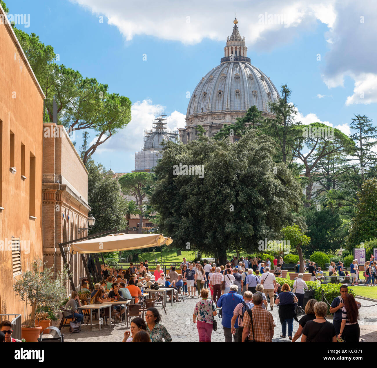 La cúpula de la Basílica de San Pedro desde los jardines de los Museos del Vaticano, Ciudad del Vaticano, Roma, Italia Foto de stock