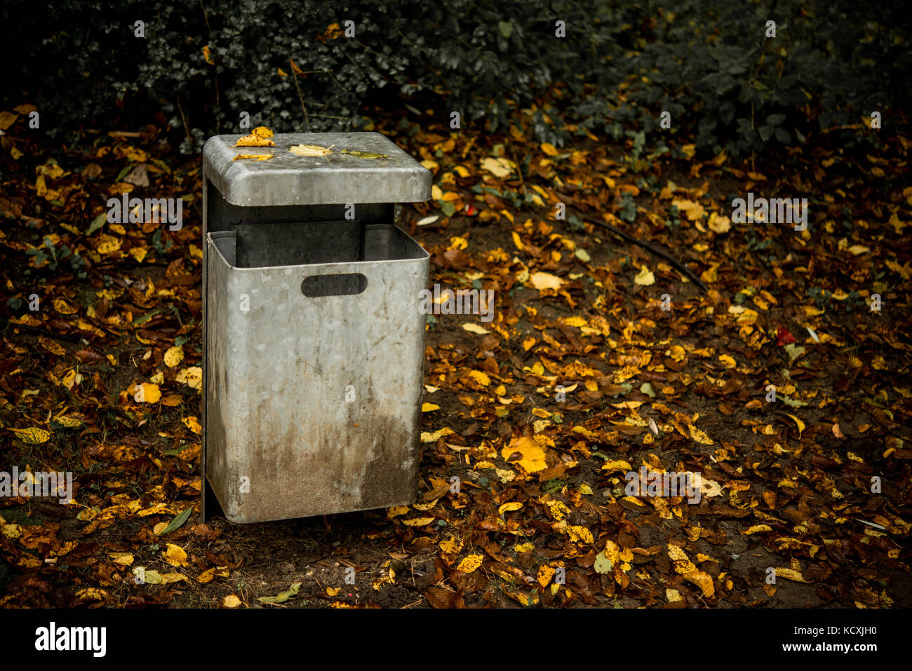 La basura en el recipiente de polvo con hojas de otoño Foto de stock