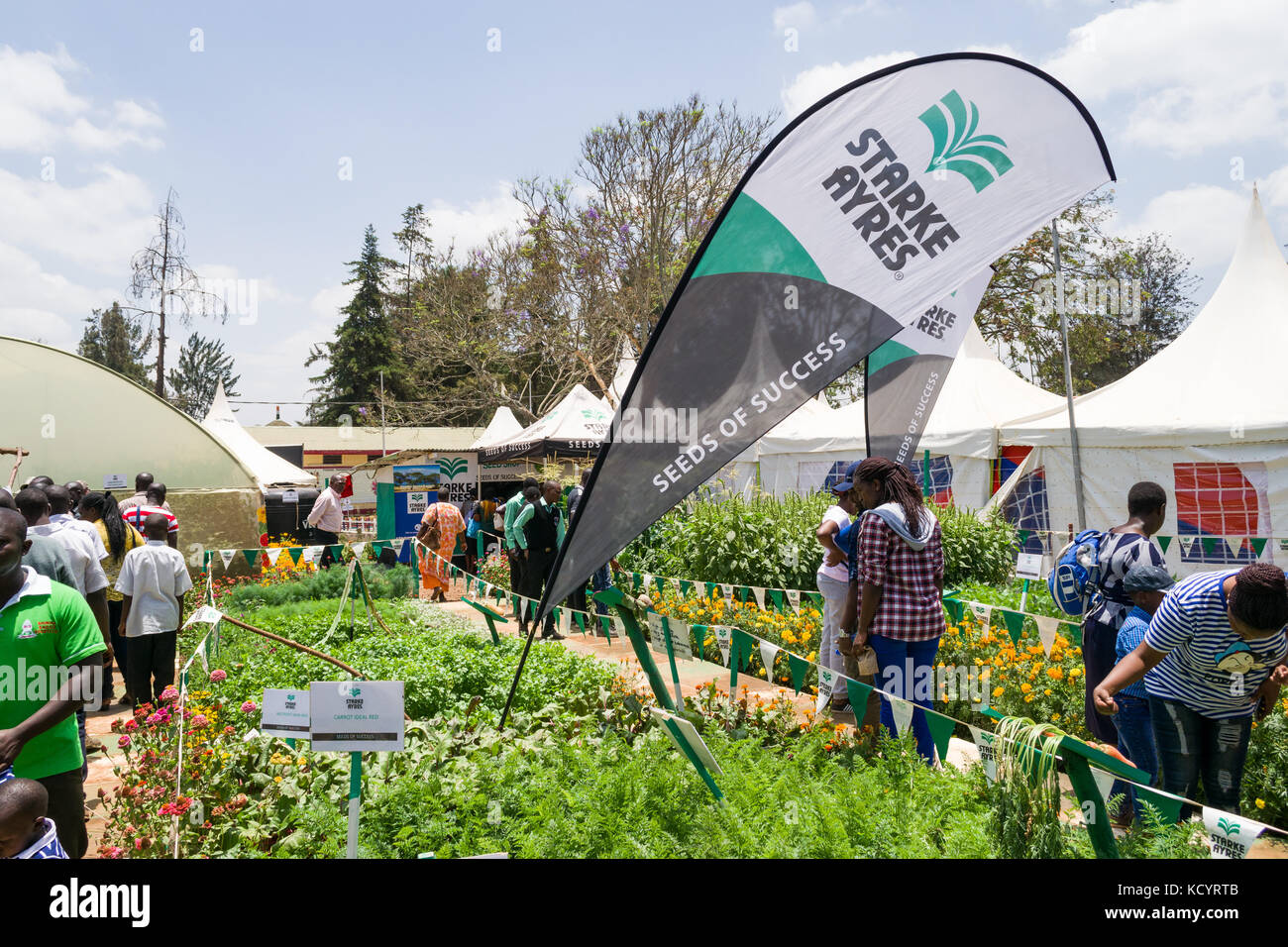 Starke Ayres la agricultura alimentaria exhibición con personas, Feria Internacional de Nairobi, Kenia Foto de stock