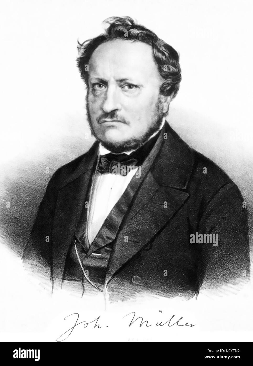 Johannes PETER MÜLLER (1801-1858) fisiólogo alemán, anatomista, experto en fósiles, anatomía comparativa Foto de stock