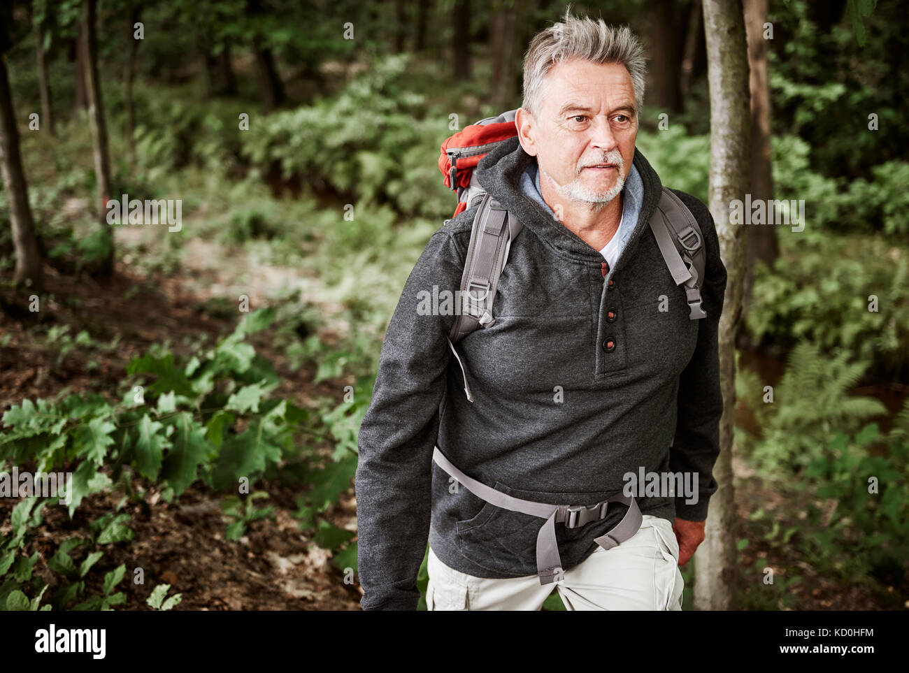 Hombre senior caminatas a través del bosque Foto de stock