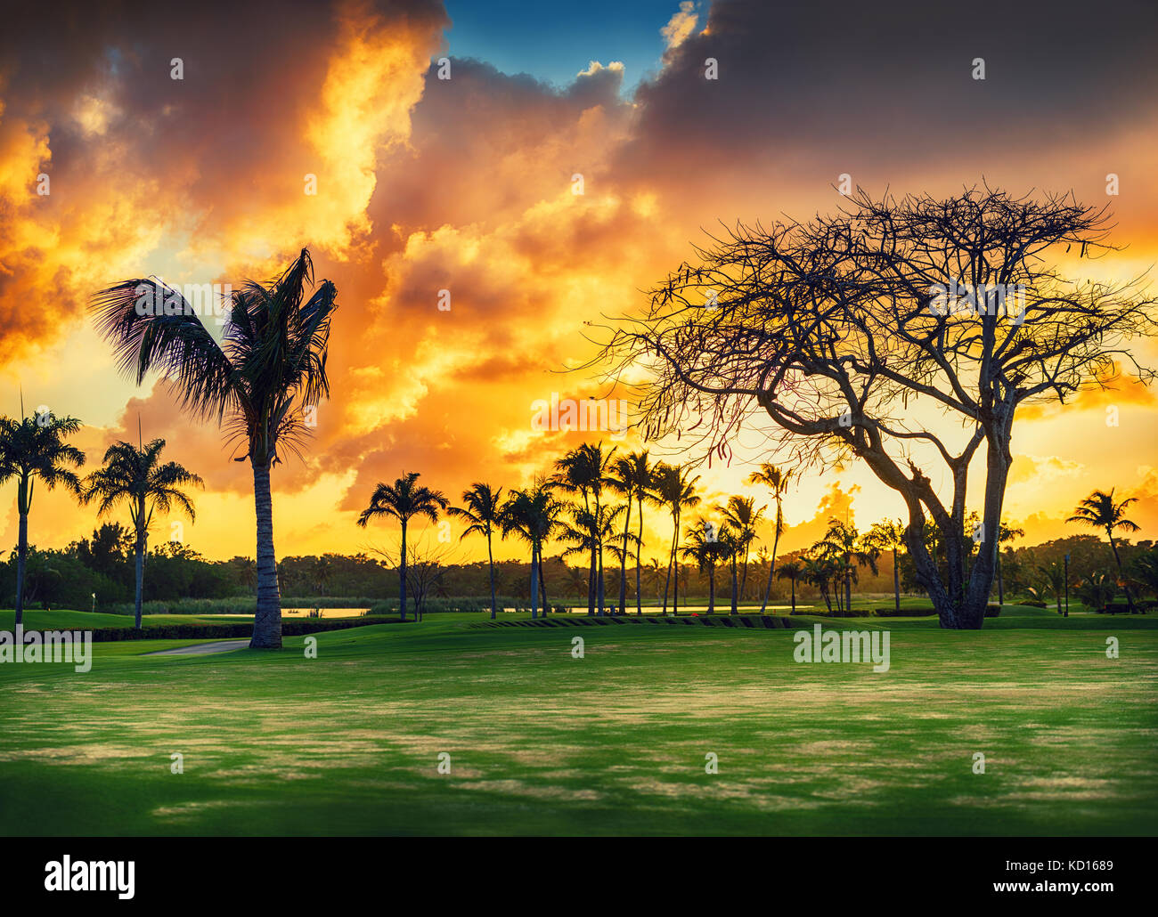 Campo de golf tropical al atardecer, República Dominicana, Punta Cana. Foto de stock