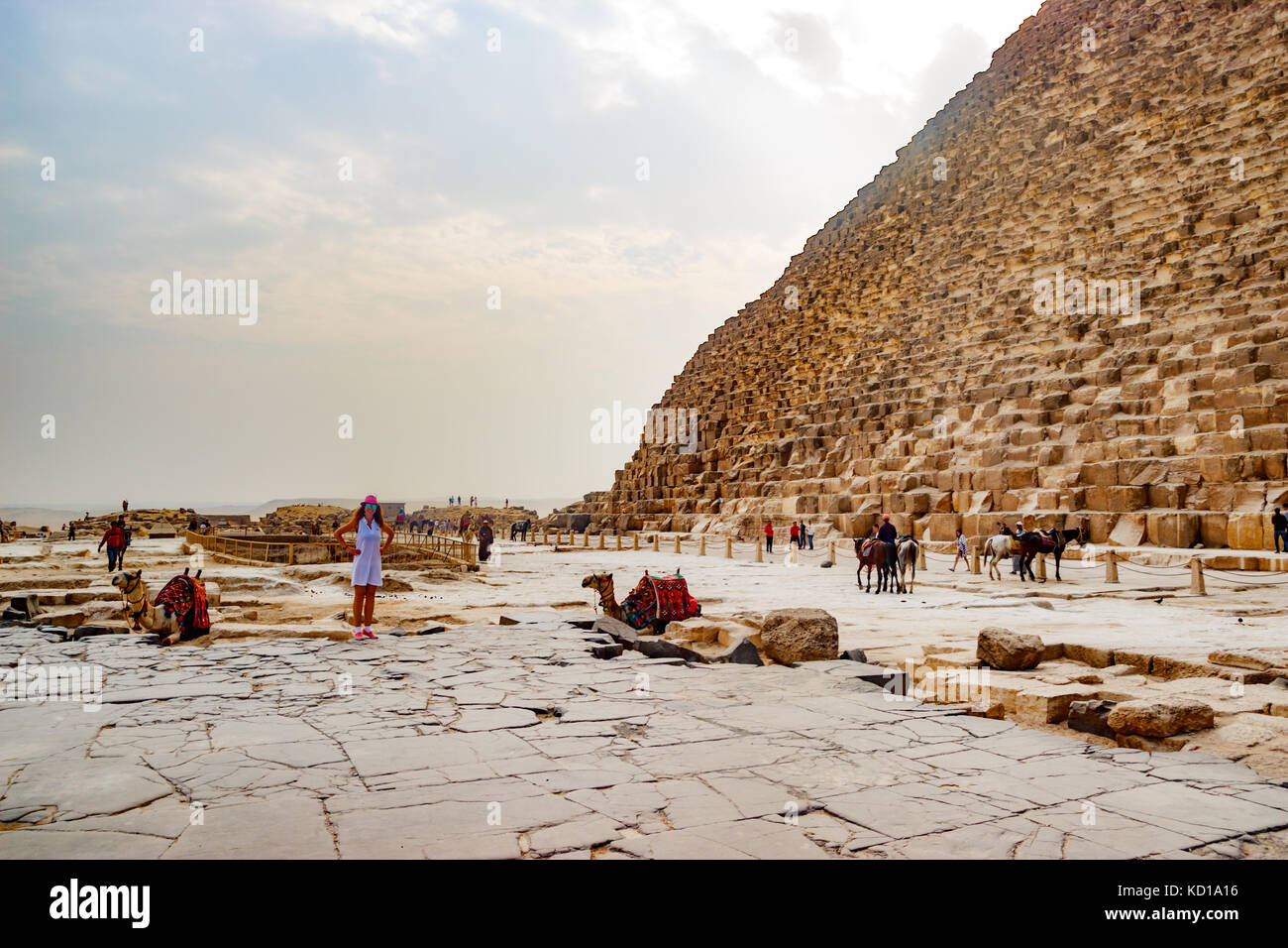 Cerca de la antigua pirámide de camellos en El Cairo, Egipto Foto de stock