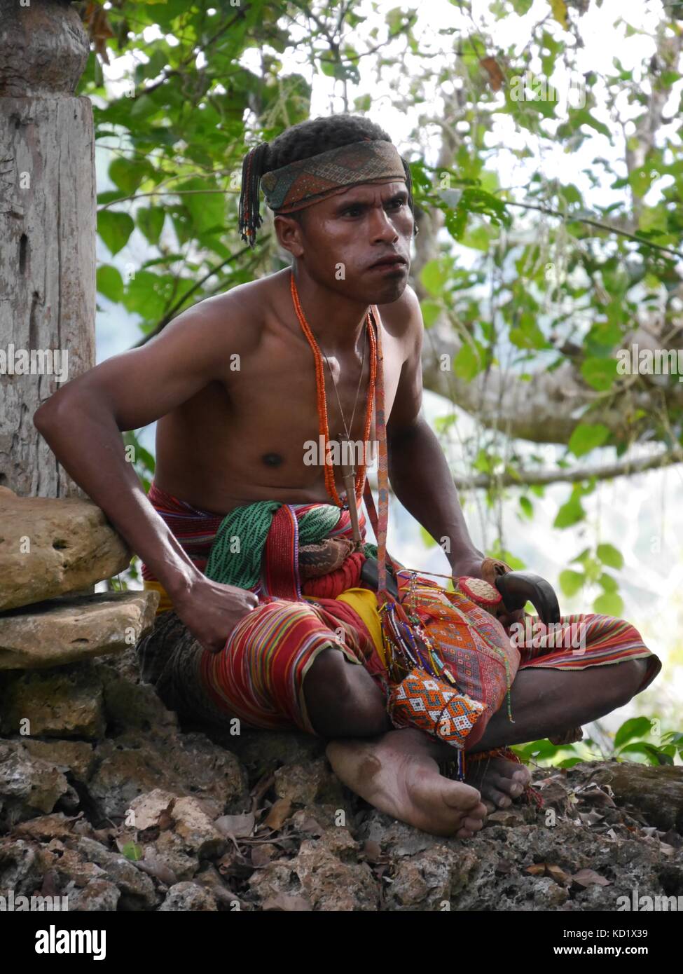 Tribesman de ex headhunting ninguna tribu, Timor Occidental, en Indonesia  ikat ropa tejida a mano con nuez de betel titulares sentado bajo el árbol  de banyan sagrado Fotografía de stock - Alamy