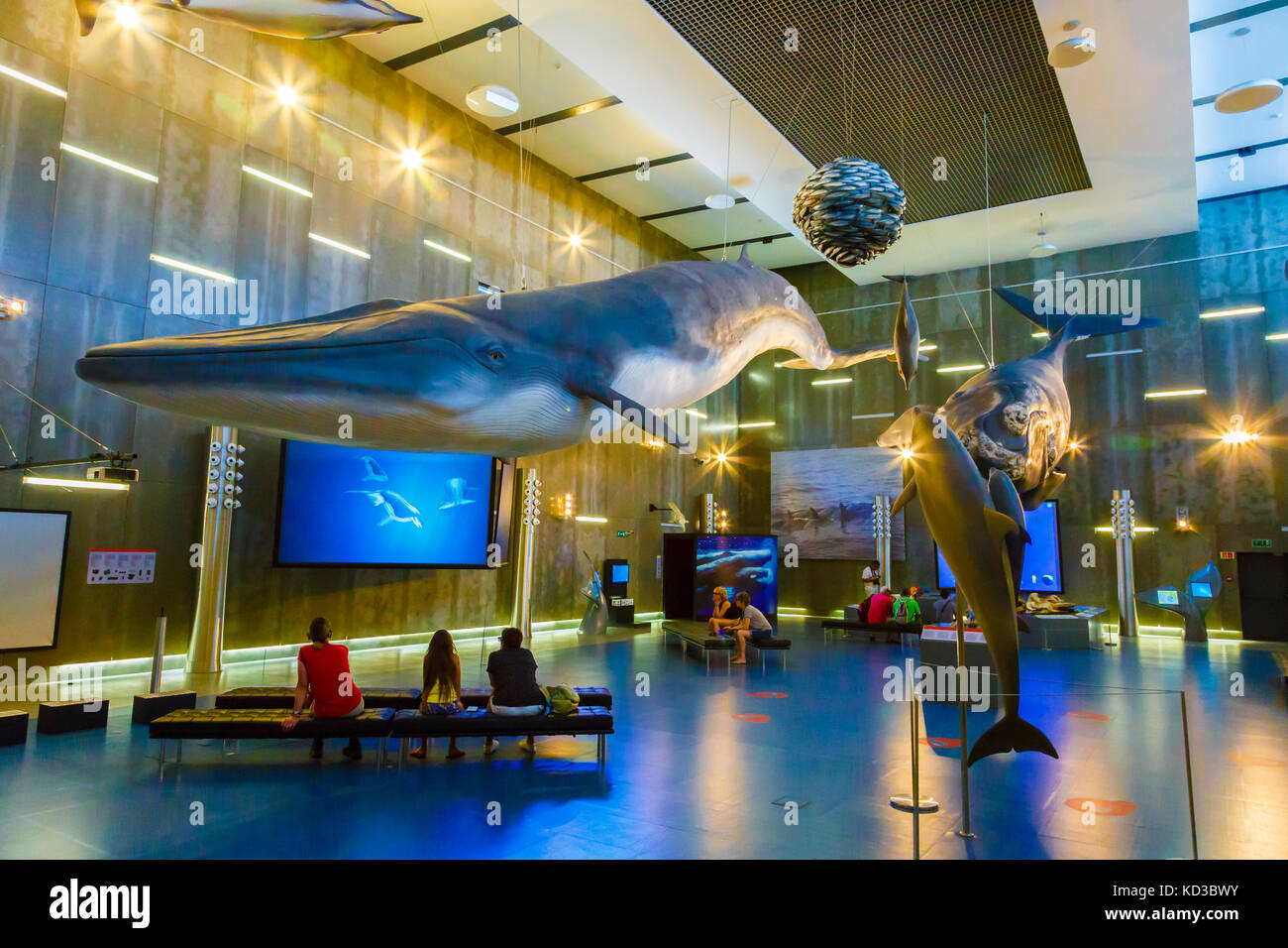 Museo de las ballenas. Foto de stock