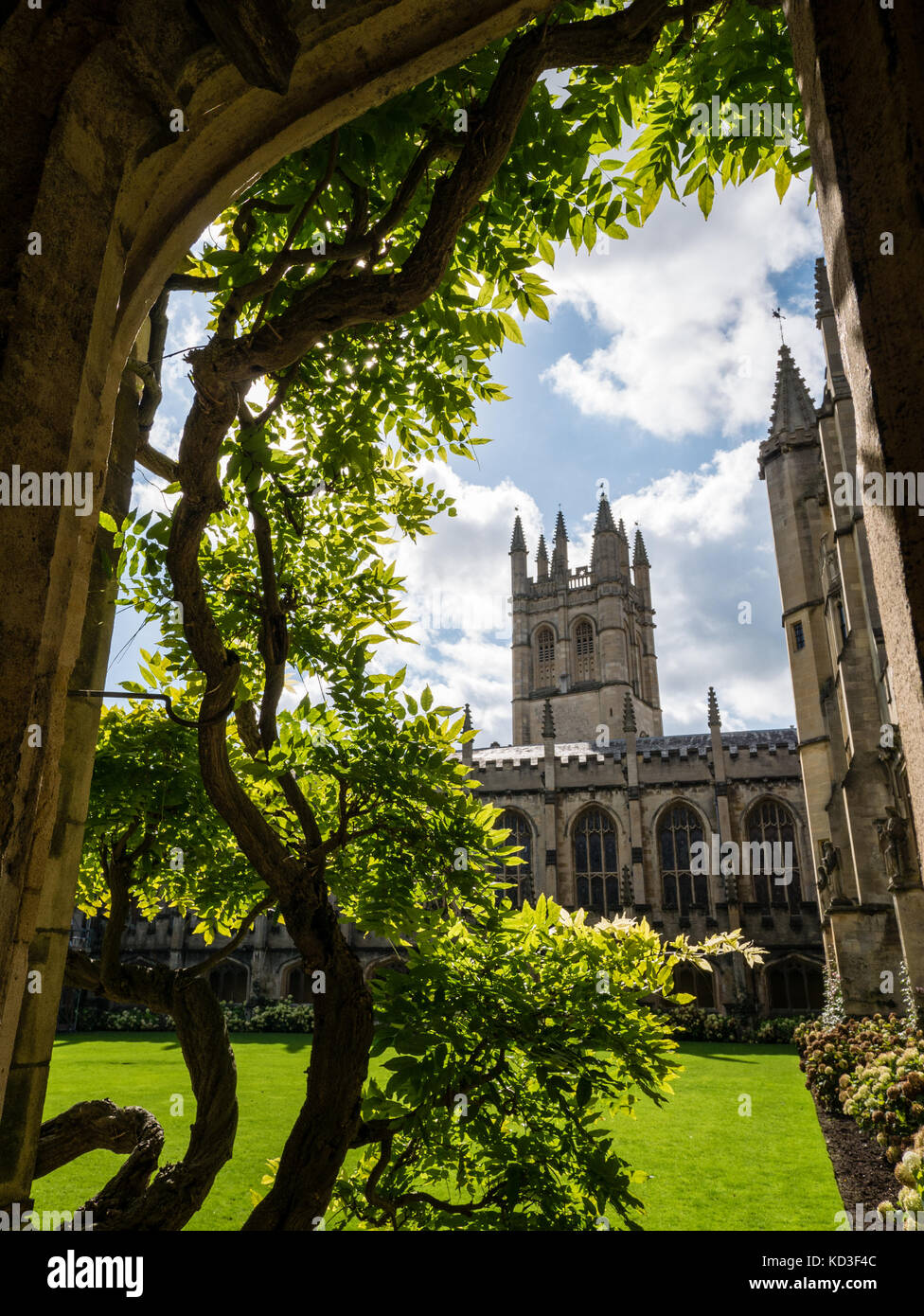 Claustro cuadrangular, el Magdalen College, Universidad de Oxford, Oxford, Oxford, Inglaterra, Reino Unido, GB. Foto de stock
