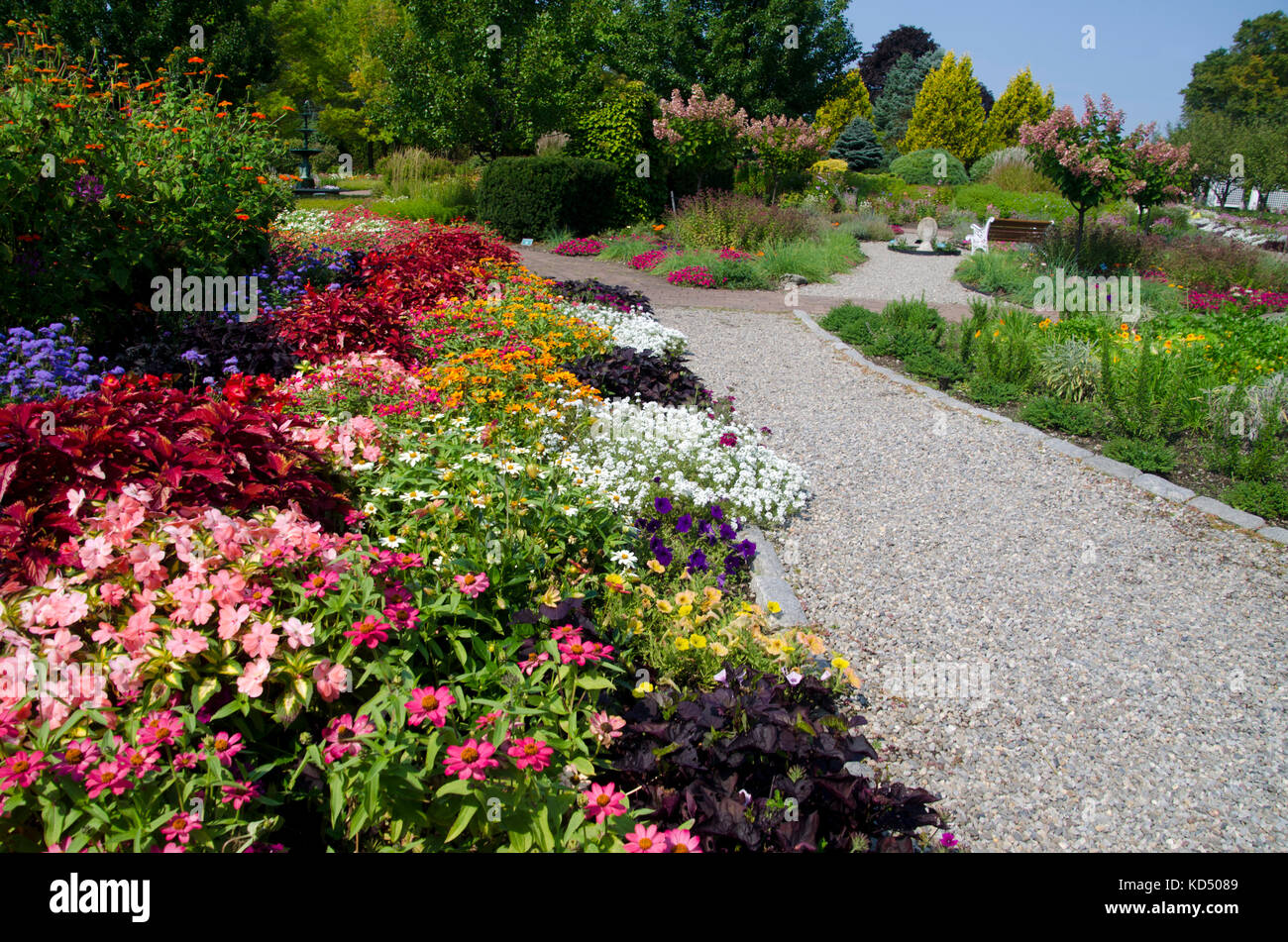 Pineland Farms jardines botánicos a finales del verano con las flores y caminos de grava New Gloucester, Maine, EE.UU. Foto de stock