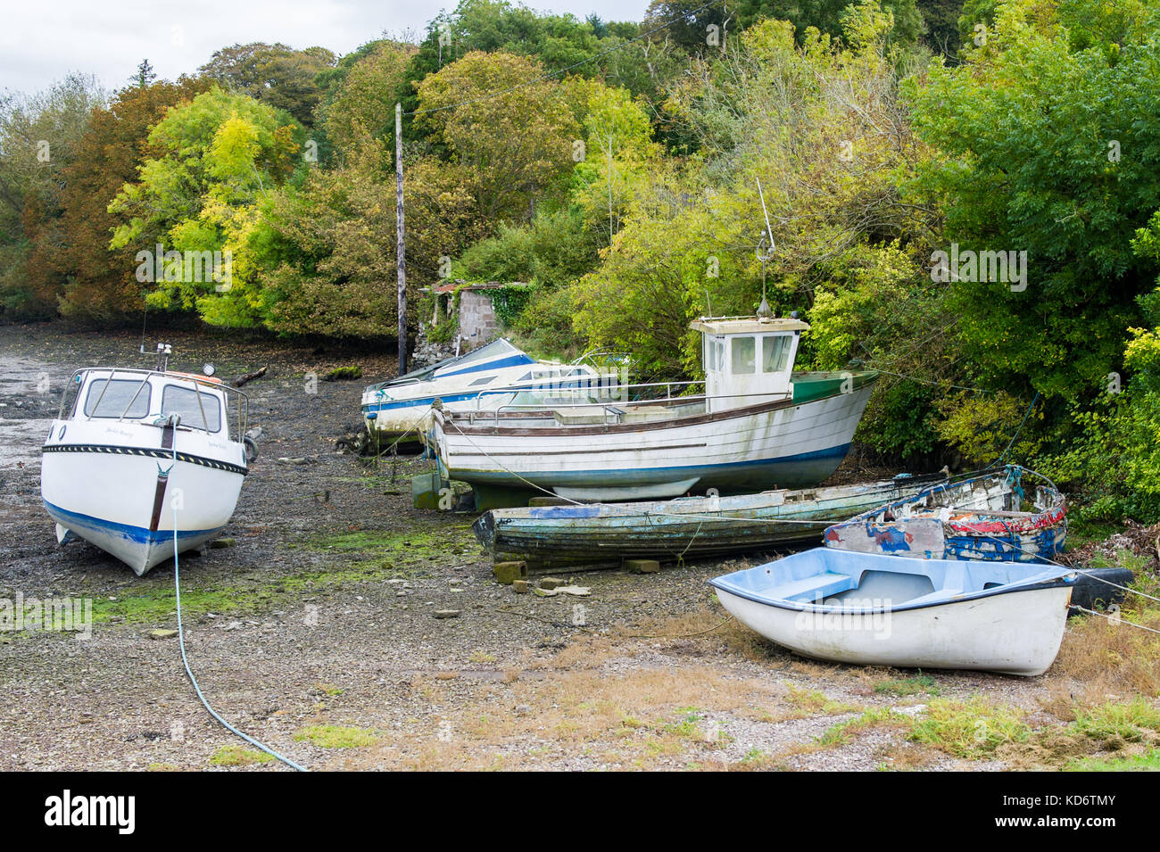 Barcos amarrados en una pequeña ensenada/puerto en el oeste de Cork, Irlanda. Foto de stock