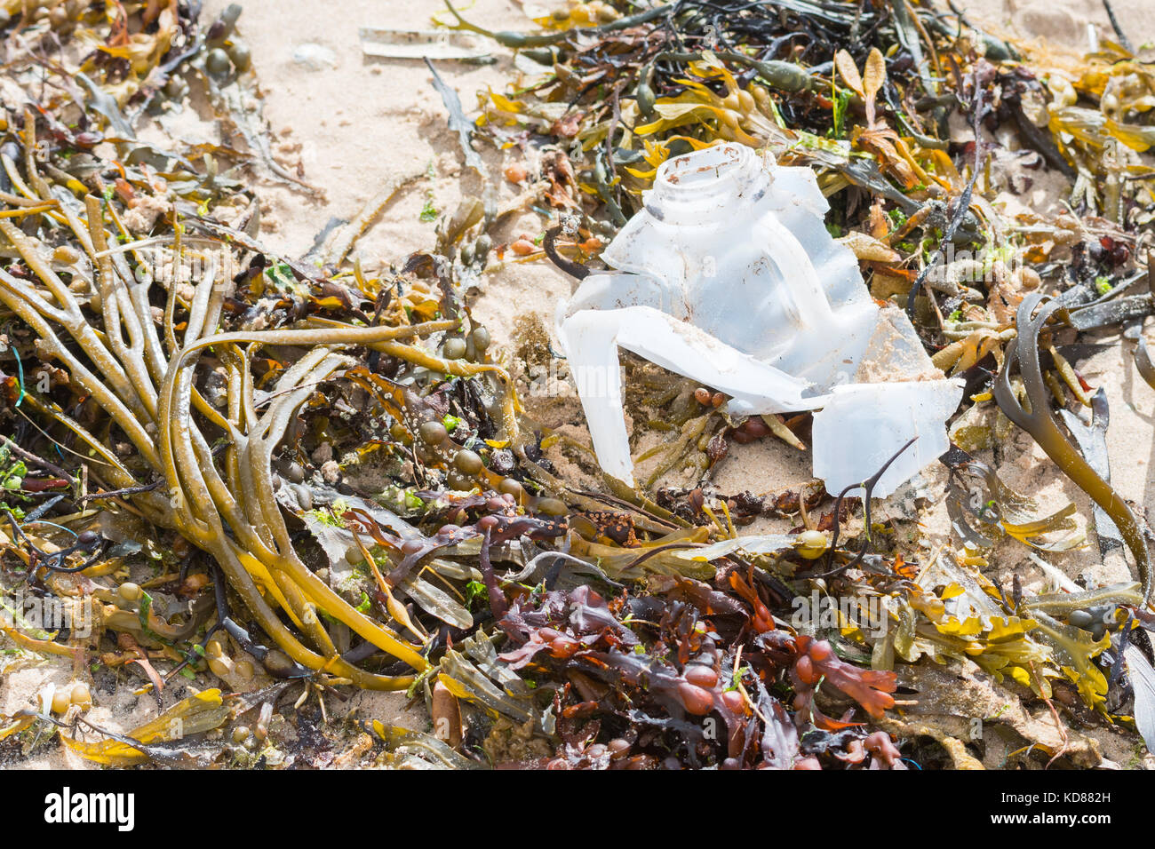 Botella de plástico en la playa de las Islas Orcadas, Escocia, Reino Unido Foto de stock