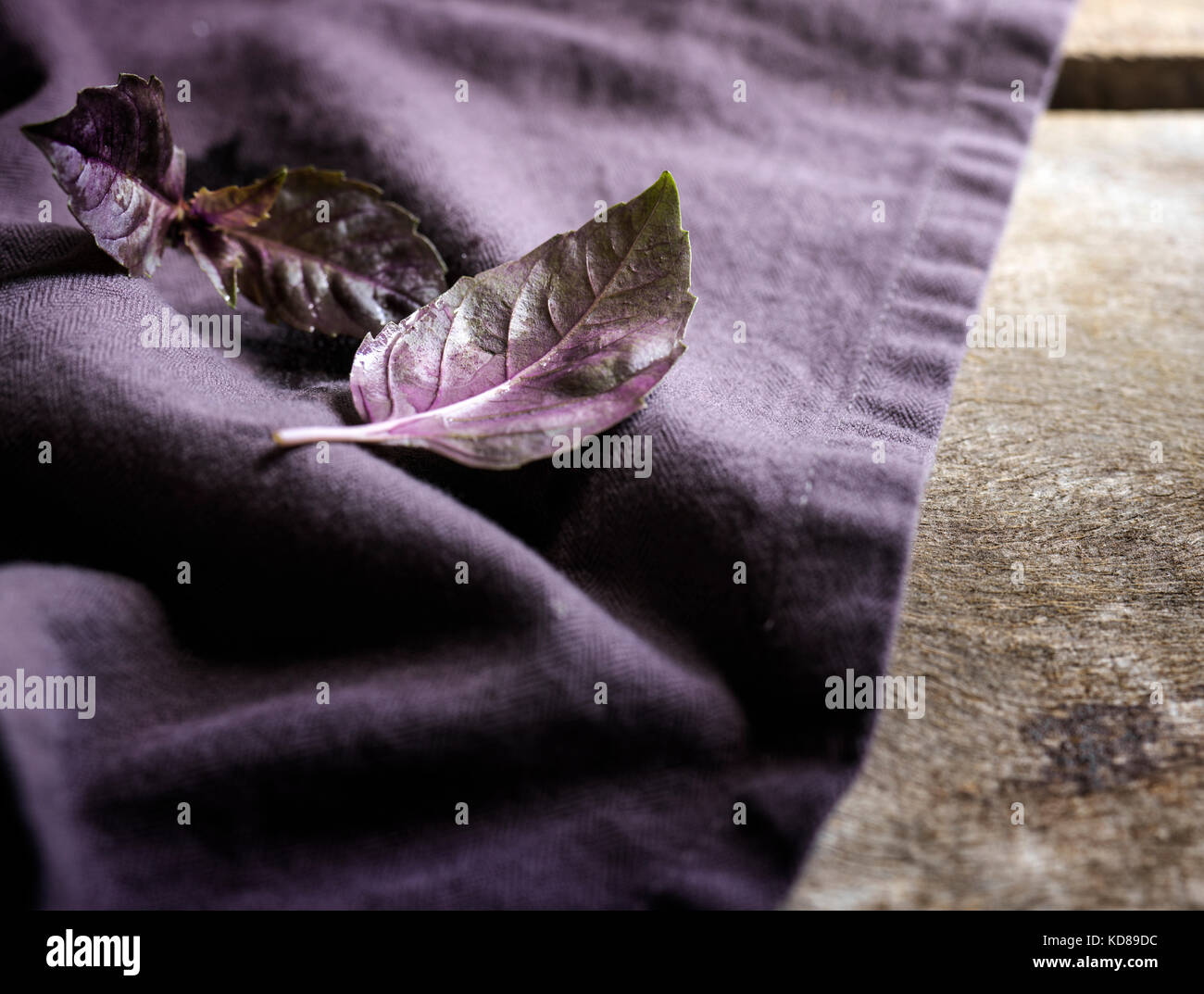 Detalle shot de hojas de albahaca morada en una ropa de color purpura y superficie de madera rústica. Foto de stock