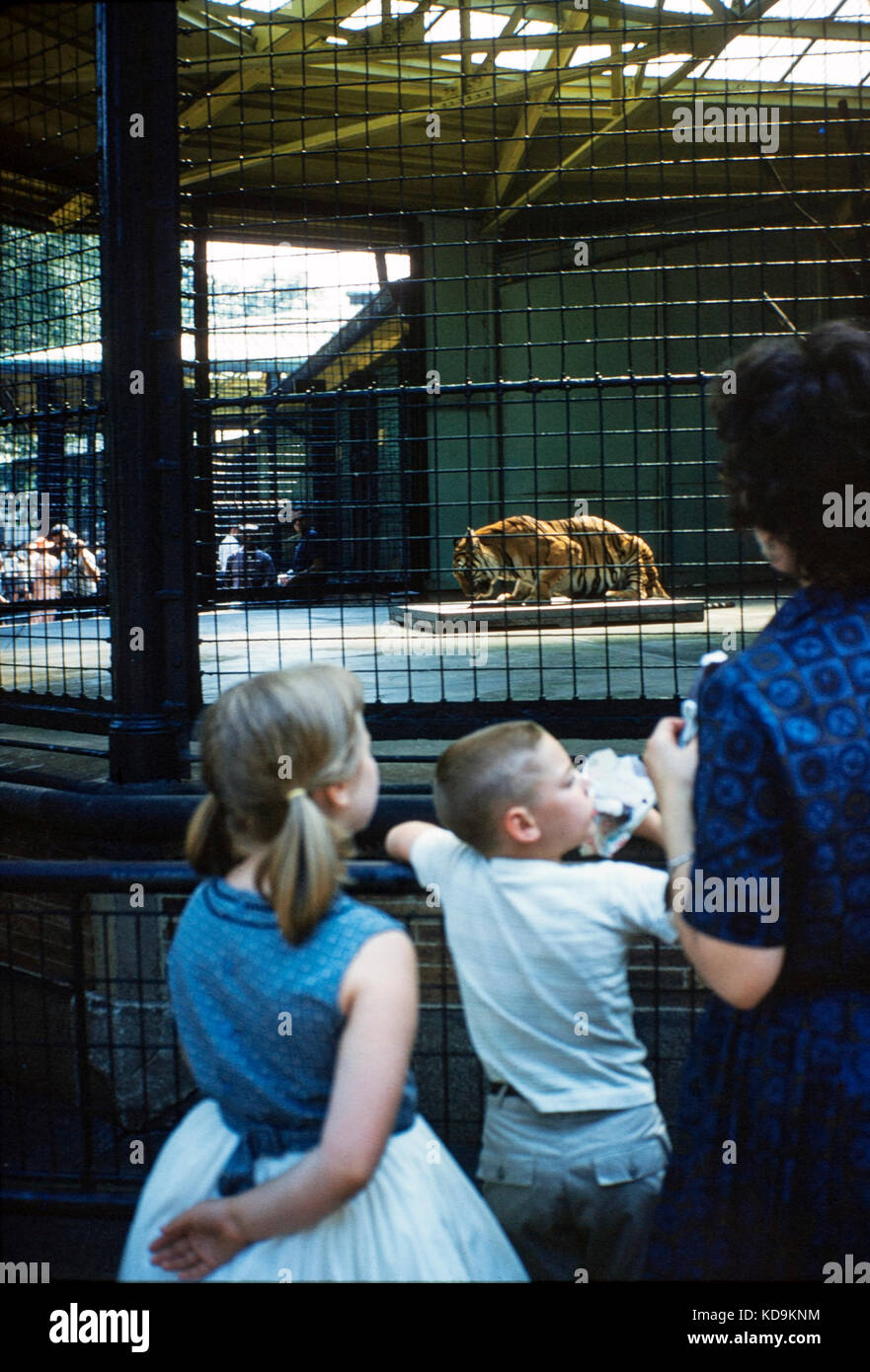 Bronx Zoo 1960 Foto de stock