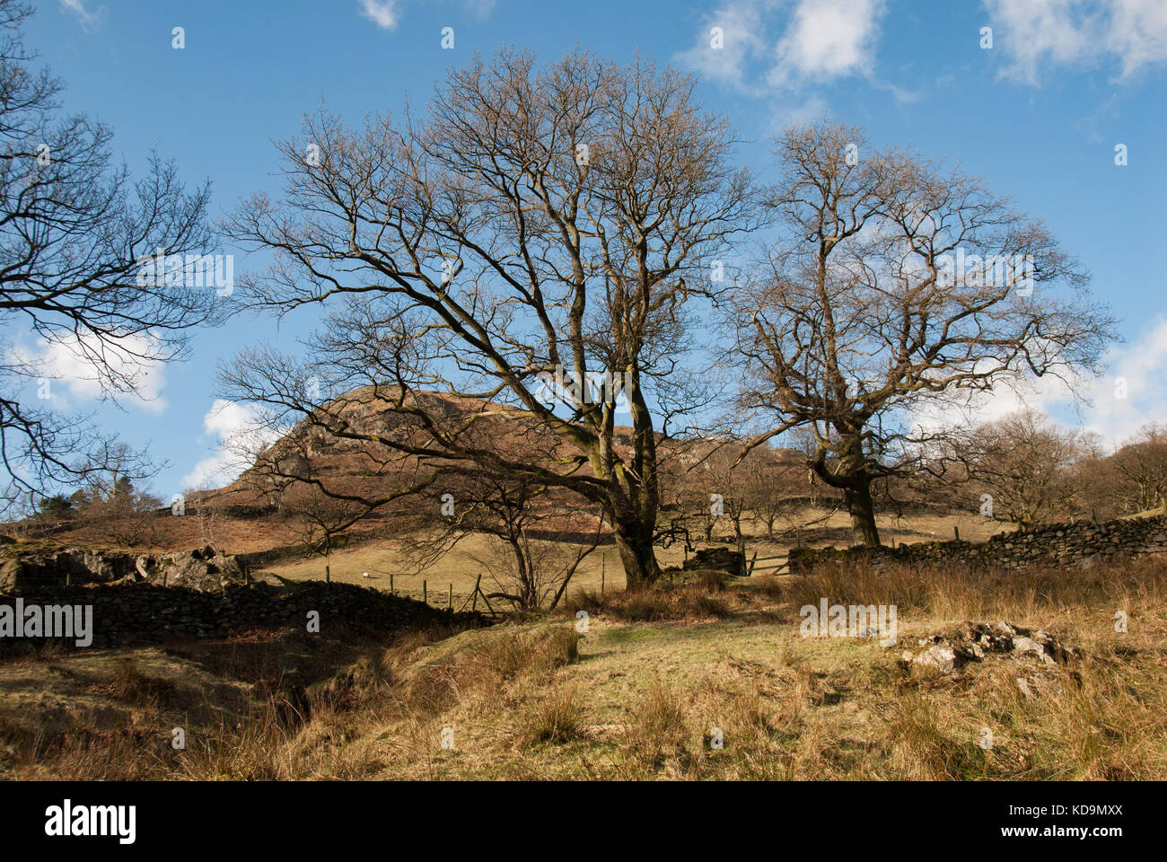 Hart head farm fotografías e imágenes de alta resolución Alamy