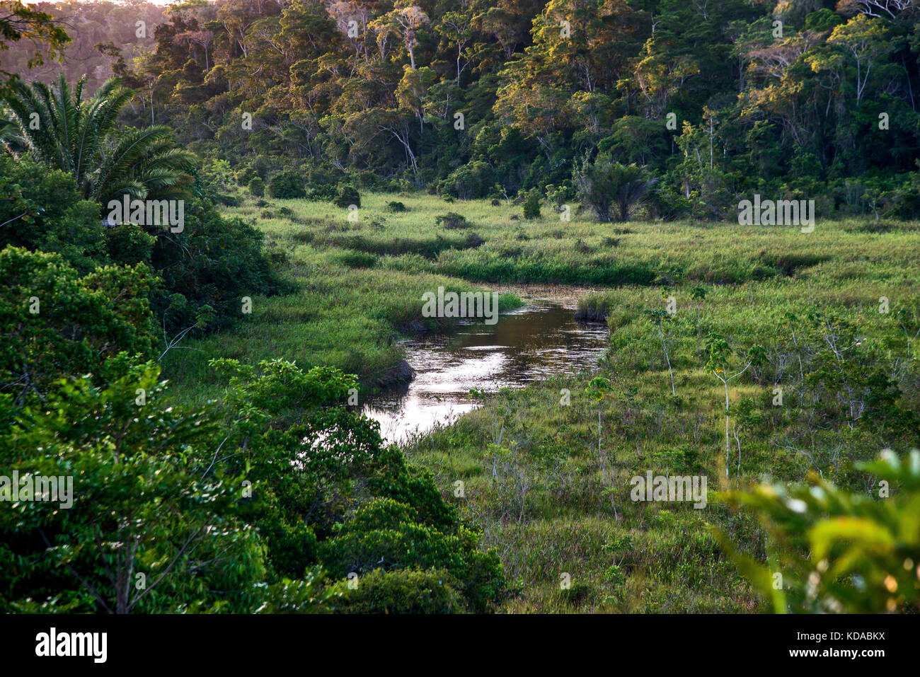 'Rio (paisagem) fotografiado em Linhares, Espírito Santo - Sudeste do Brasil. Bioma Mata Atlântica. Registro feito em 2015. INGLÉS: River landsc Foto de stock