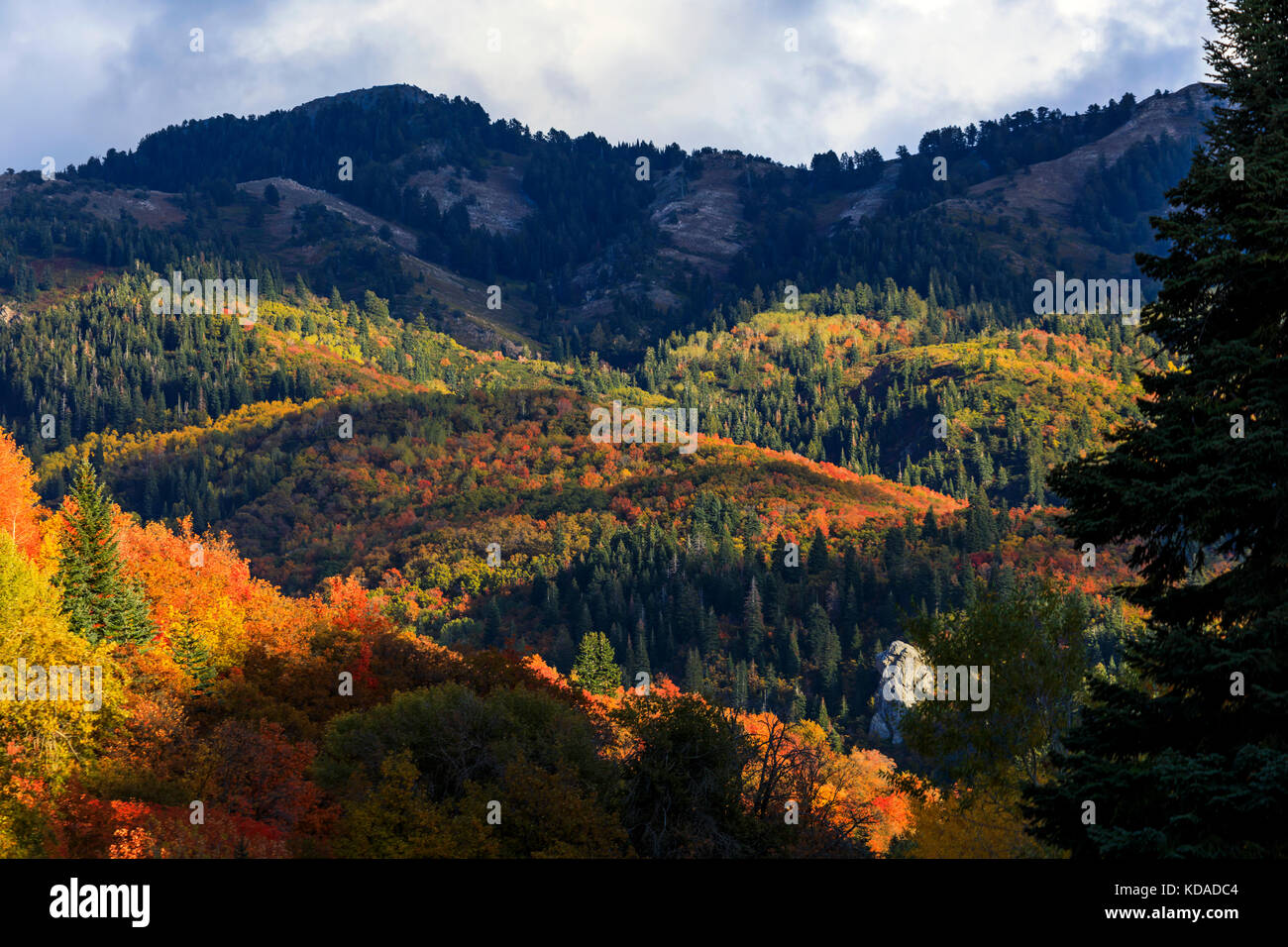 Esta es una vista de los colores de la temporada de otoño en la zona del parque de Mueller sobre abundante, Utah, EE.UU.. Foto de stock