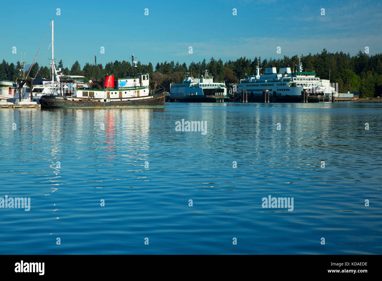 Eagle Harbour, Pritchard Park, Bainbridge Island, Washington Foto de stock