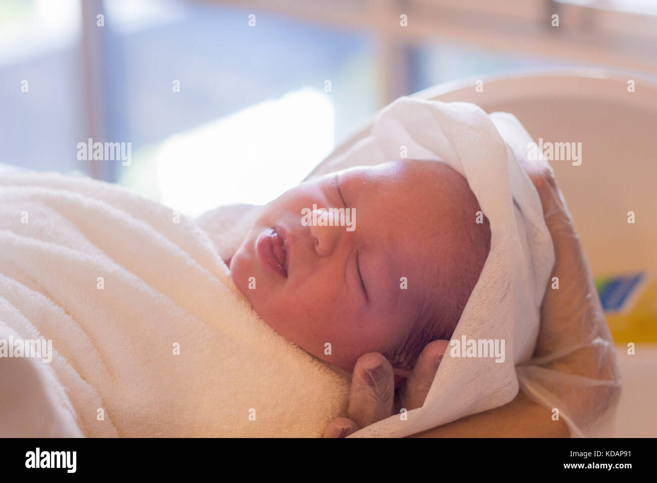 Mano humana sosteniendo un bebé recién nacido envuelta en una toalla chica Foto de stock