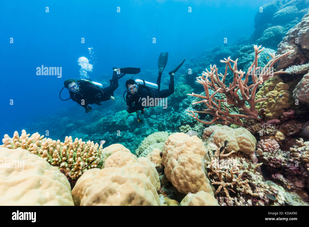 Los buzos explorando los arrecifes de coral, formaciones de arrecife Agincourt, Great Barrier Reef Marine Park, Port Douglas, Queensland, Australia Foto de stock