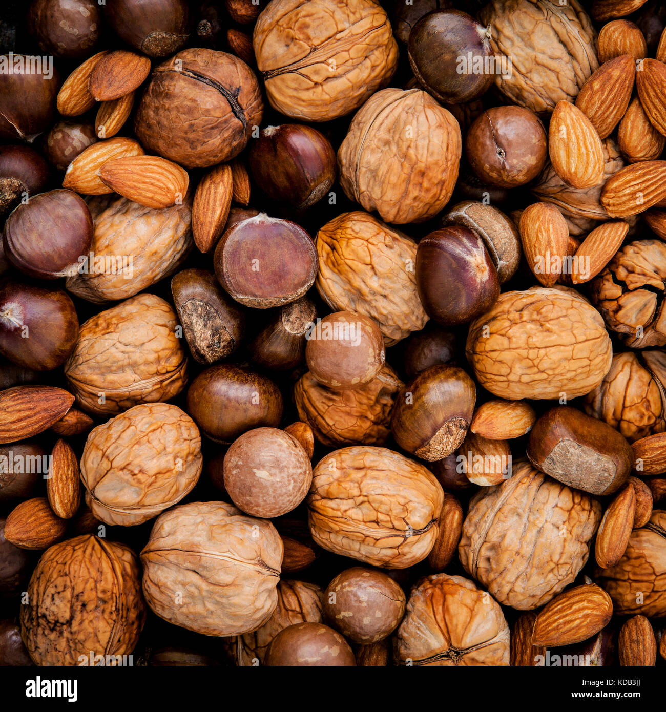 Los diferentes tipos de las nueces con cáscara ,el anacardo, la almendra,  nuez, avellana, nuez y macadamia Fotografía de stock - Alamy