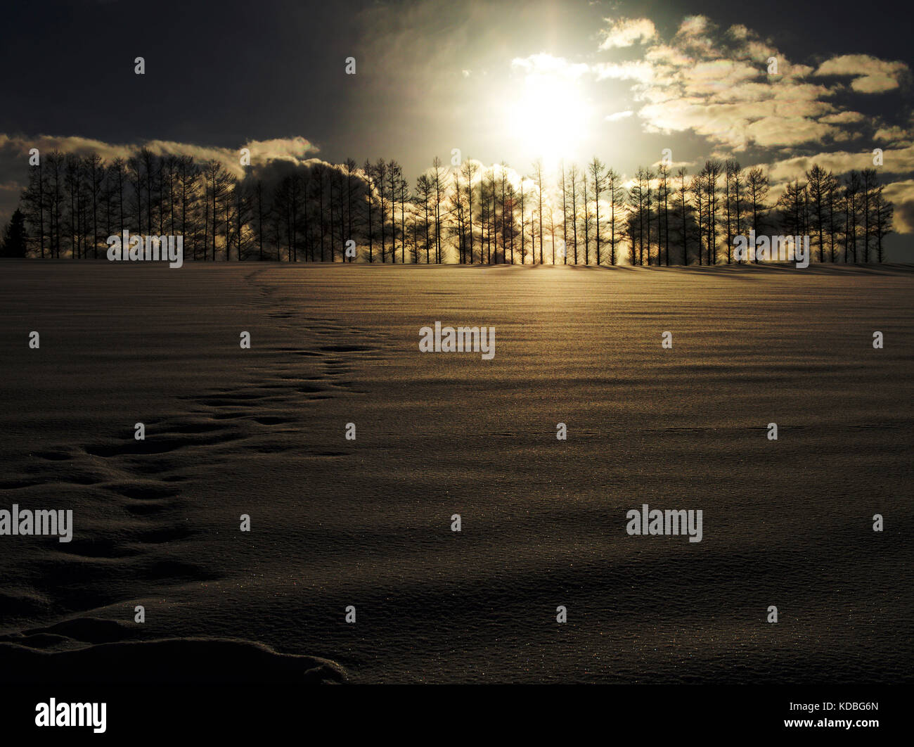 Puesta de sol en Seven Hills, Biei, Hokkaido, en invierno, Japón Foto de stock