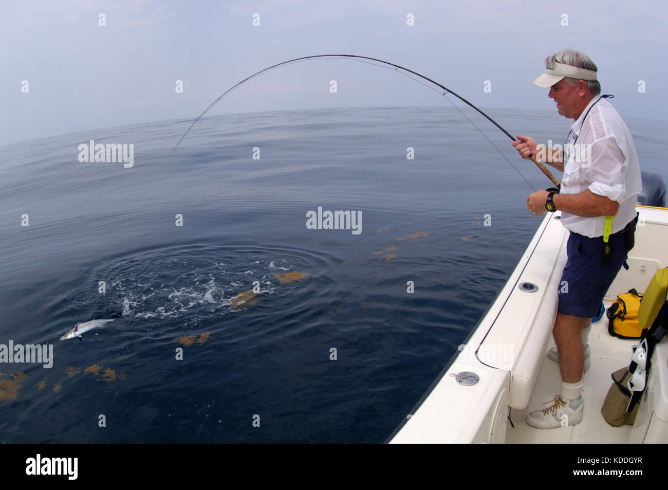 Un pescador con un carite o caballa capturados mientras que la pesca con mosca offshore de Freeport, Texas Foto de stock