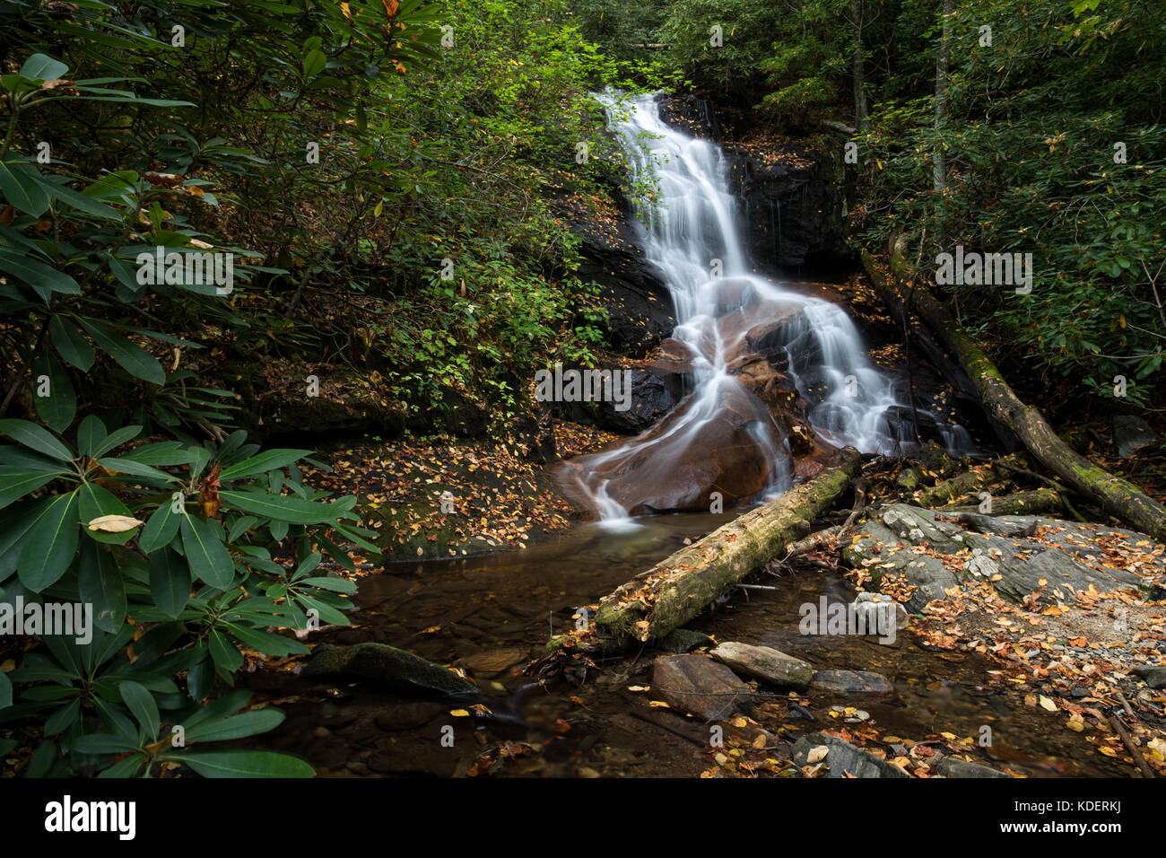 Hueco de registro cae en cascada es una hermosa cascada de 25 m de altura en el bosque nacional de pisgah en Transilvania condado. Si bien es relativamente fácil de obtener, no son visitados frecuentemente en relación a otras cascadas en la zona. Son aproximadamente 1/2 milla fs5043 que es un antiguo camino forestal. La caminata es muy fácil, y usted va a ver abundantes flores silvestres en general a menos que usted está visitando en los meses más fríos y las cataratas han suavizado hacia abajo el lecho de roca en la parte inferior de las cataratas, en cuyo espesor venas de cuarzo son visibles. Si usted observa de cerca en el arroyo, verá Foto de stock