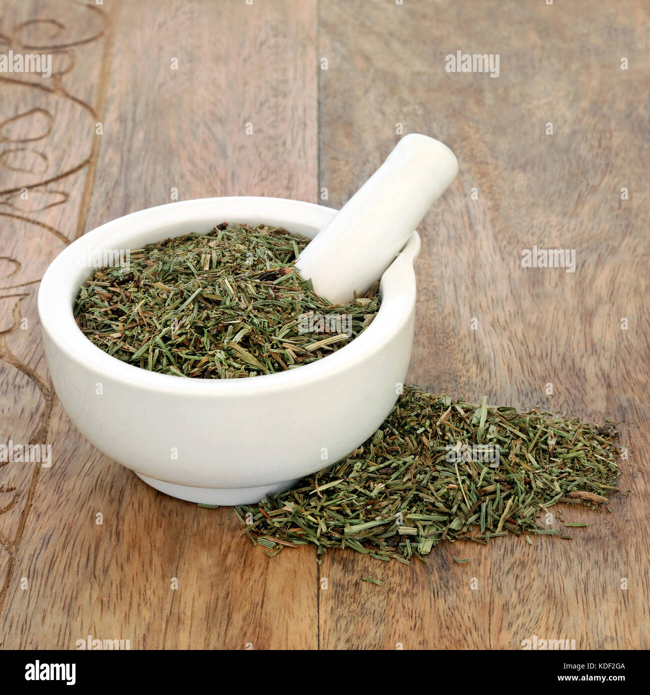 Hoja Equiseto o cola de caballo hierba usada en la medicina herbaria alternativos y anti inflamatorias, anti bacteriana, diuréticas, antisépticas y astringentes. Foto de stock