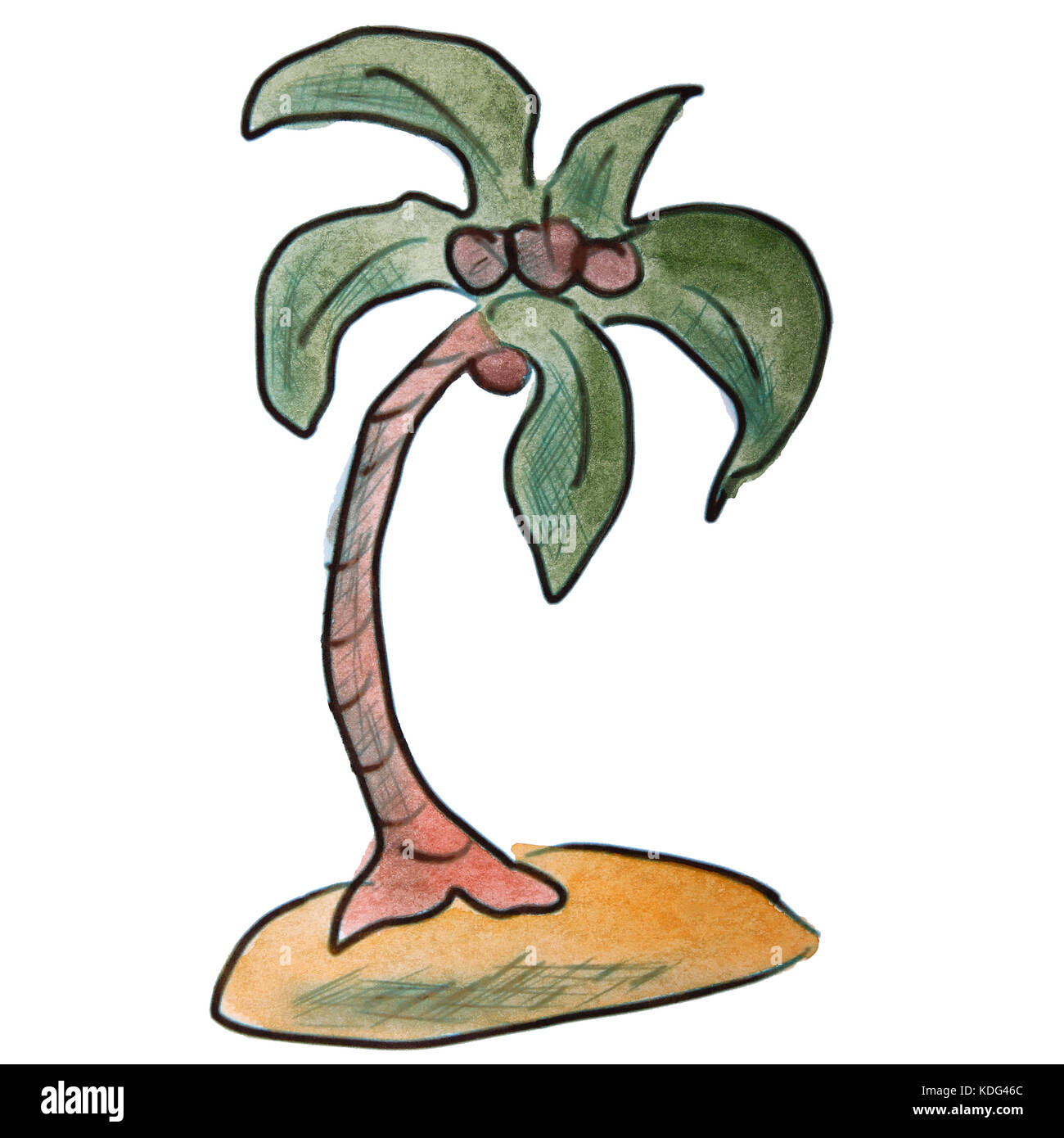 Palm acuarela verde figura de la historieta, aislado sobre fondo blanco. Foto de stock