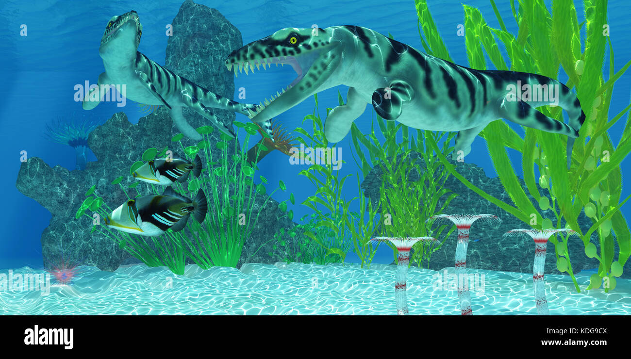 Dakosaurus hábitat marino - Dos peces ballesta Picasso nadar lejos del Dakosaurus reptiles marinos que pueden amenazar su existencia. Foto de stock
