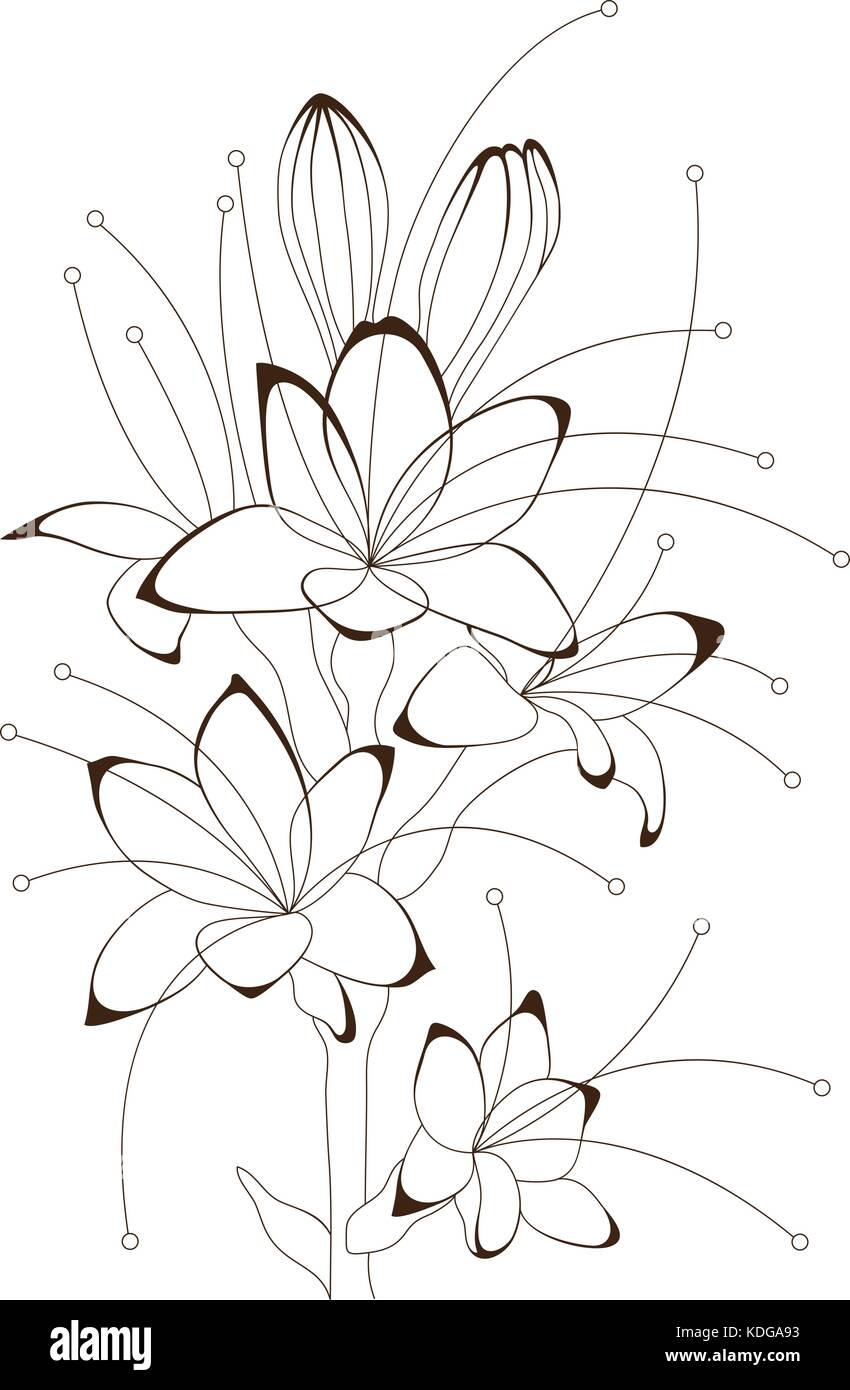 Flores de nardo Imágenes vectoriales de stock - Alamy