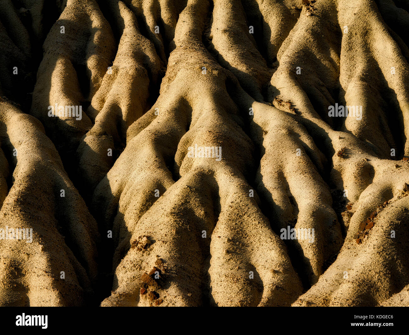 Los patrones de erosión en el Red Rock Canyon State Park, California Foto de stock