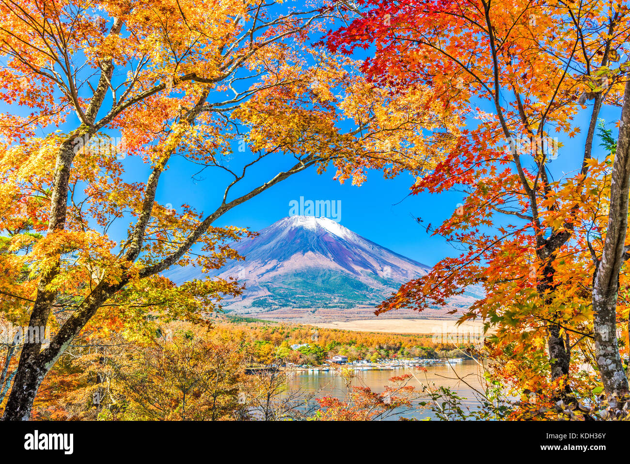 El monte Fuji, Japón desde el lago Yamanaka en otoño. Foto de stock